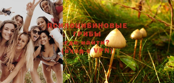эйфоретик Гусь-Хрустальный