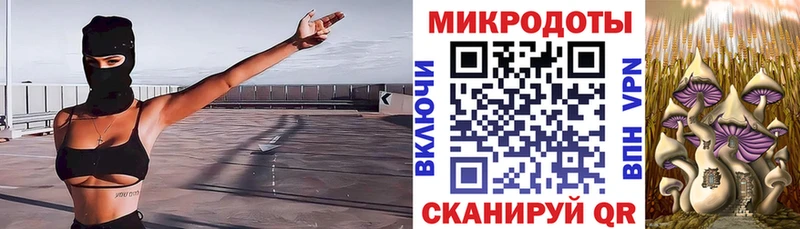 Галлюциногенные грибы мухоморы  Межгорье 